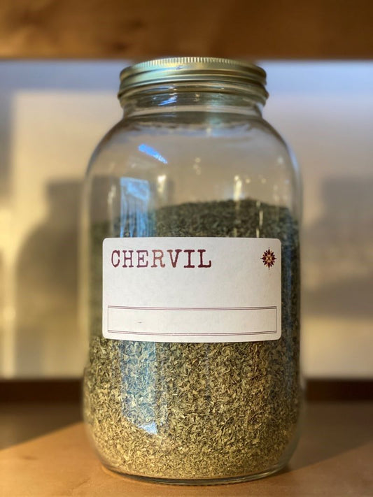 Chervil