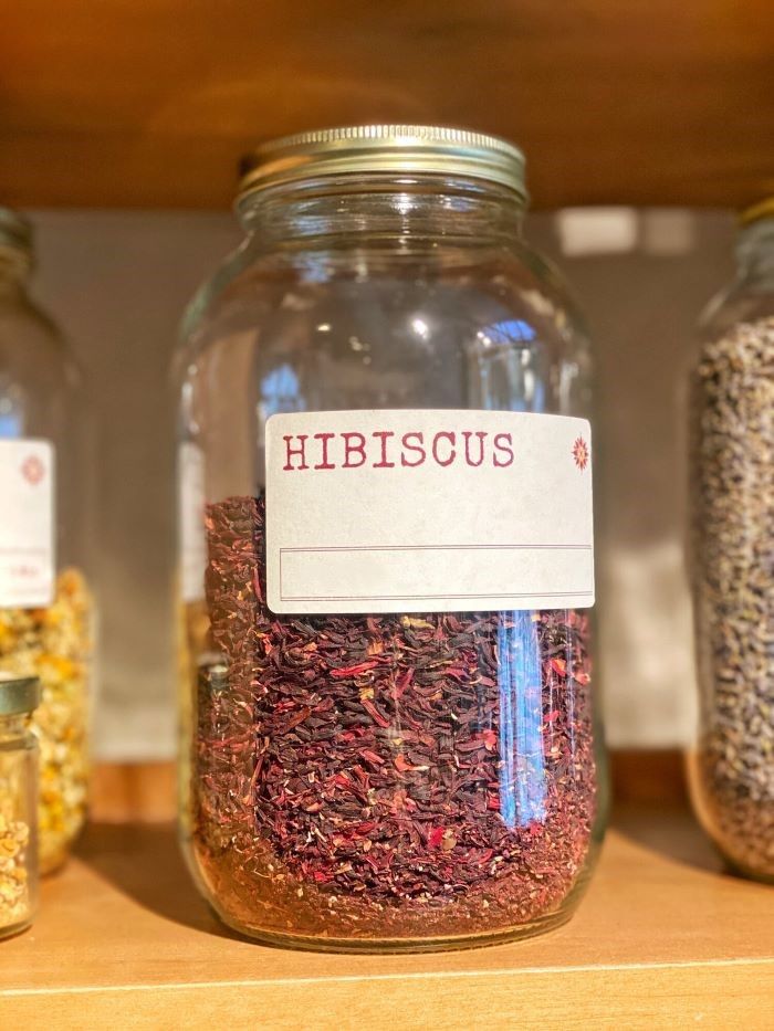 Hibiscus