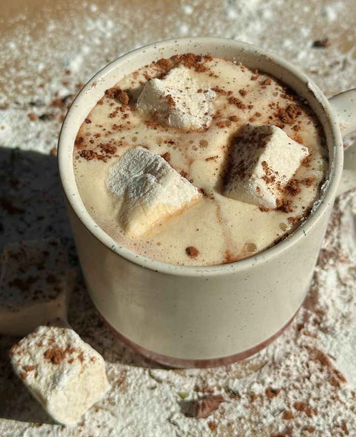Peppermint Hot Cocoa - NEW RECIPE!