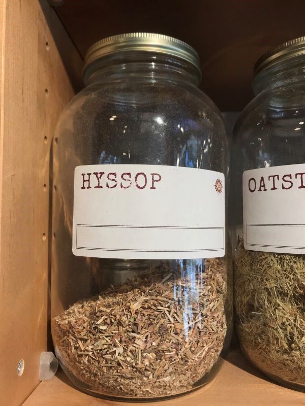 Hyssop