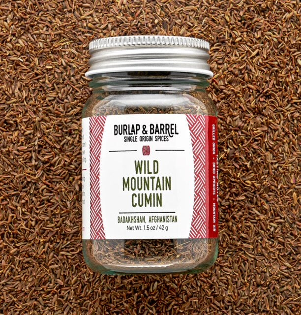 Wild Mountain Cumin