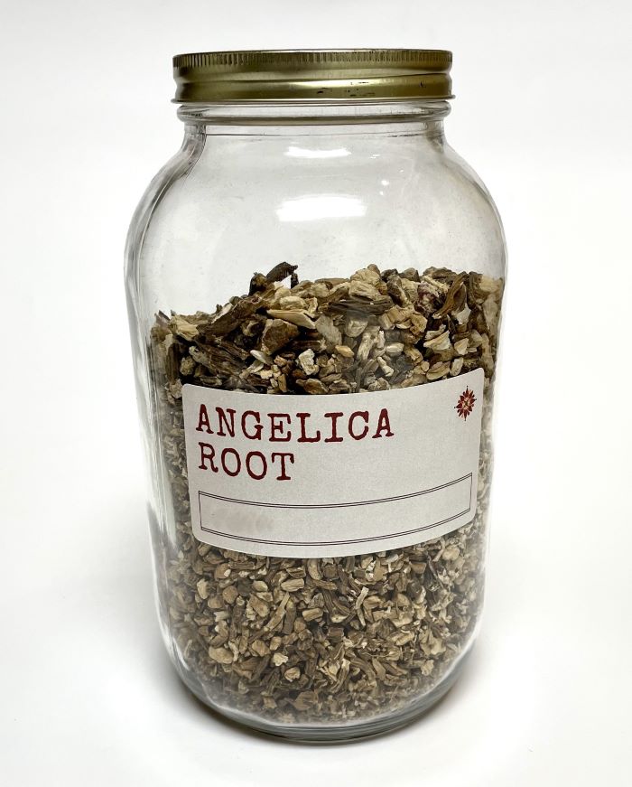 Angelica Root