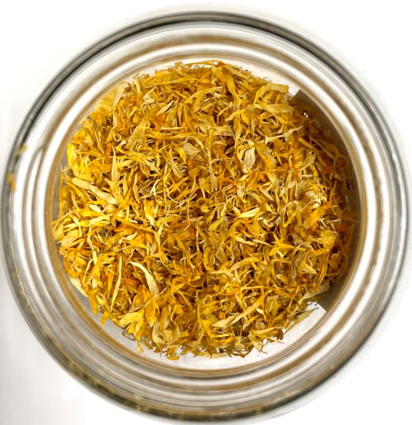 Calendula