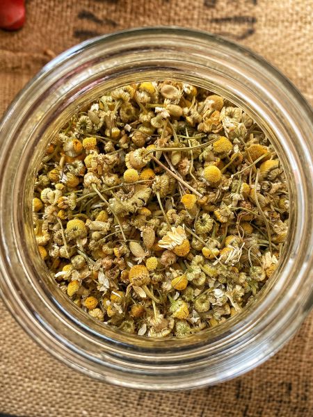 Chamomile Blossoms