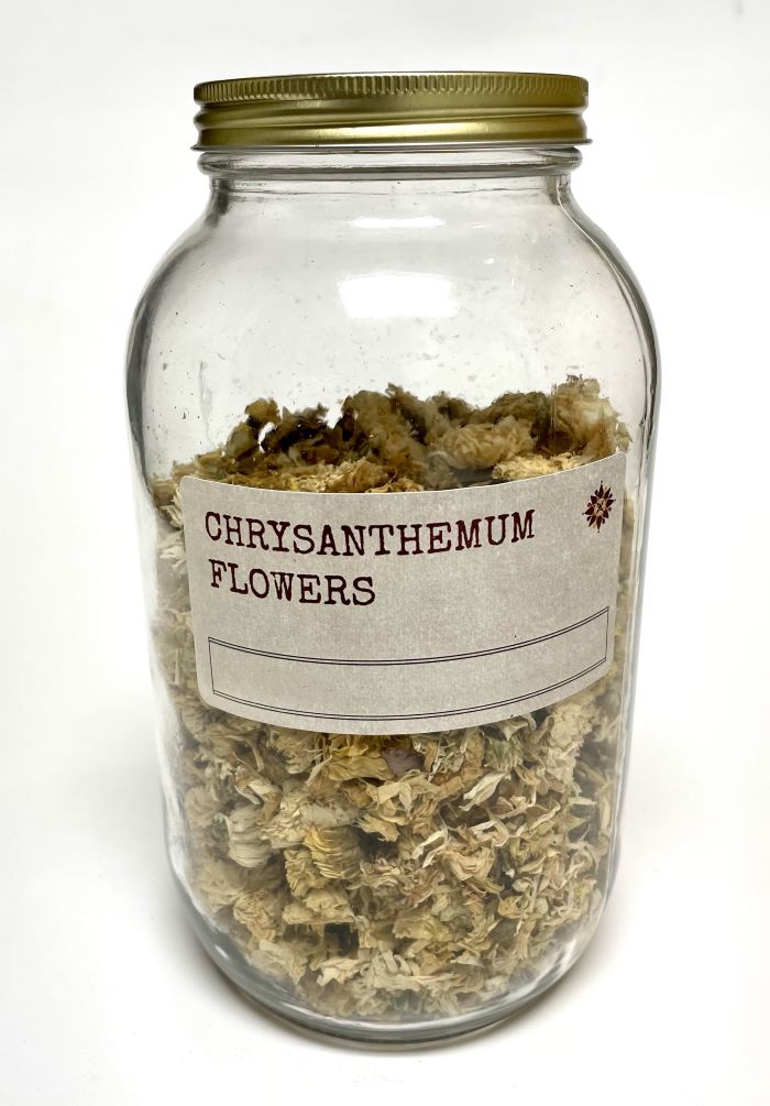 Chrysanthemum Flowers