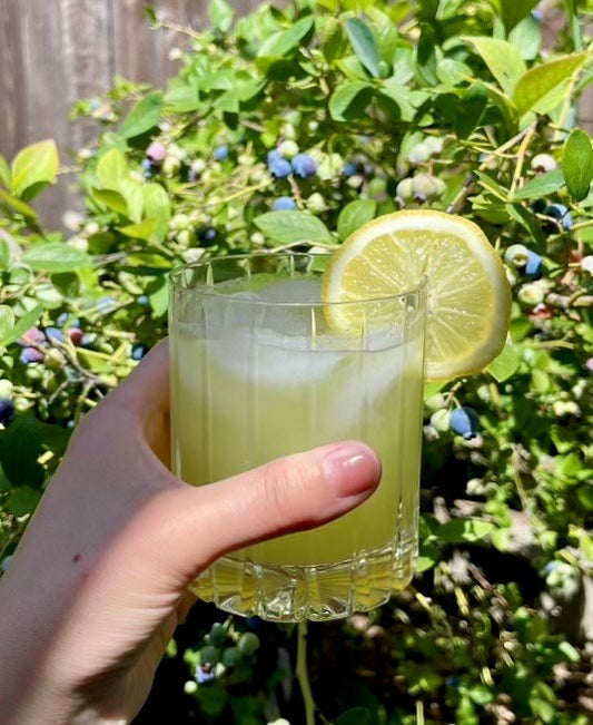 Cucumber Elderflower Lemonade