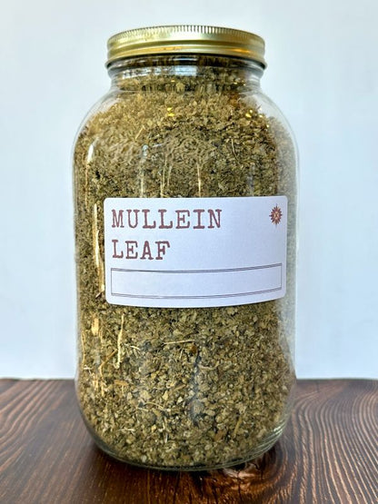 Mullein Leaf