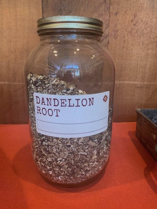 Dandelion Root