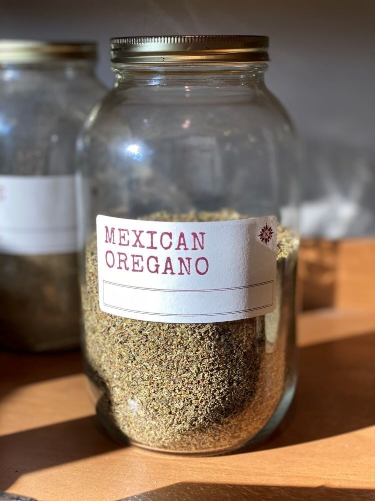 Oregano Mexican